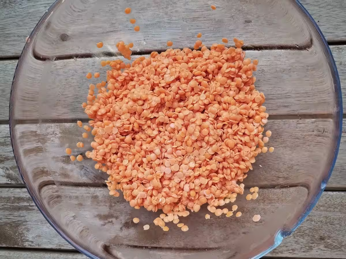 Draining lentils