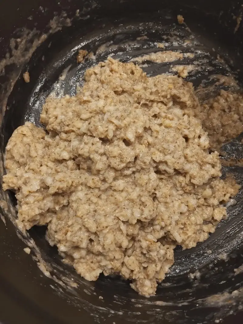 Mélange d'avoine cuit dans le lait végétal