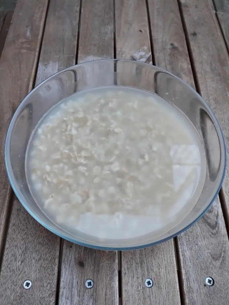 Oats in soaking water